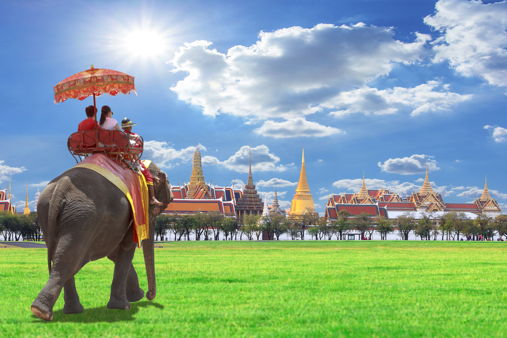 bangkok elephant